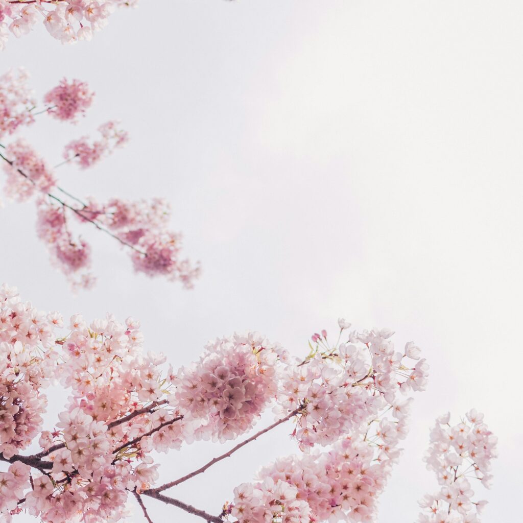 PastLifeRegressionTraining