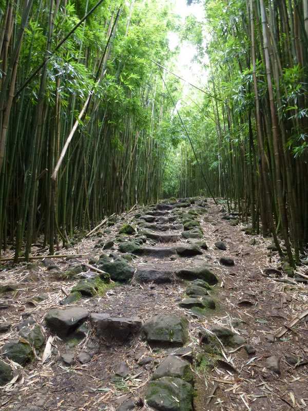 Past Life Regression - In person and remote hypnosis